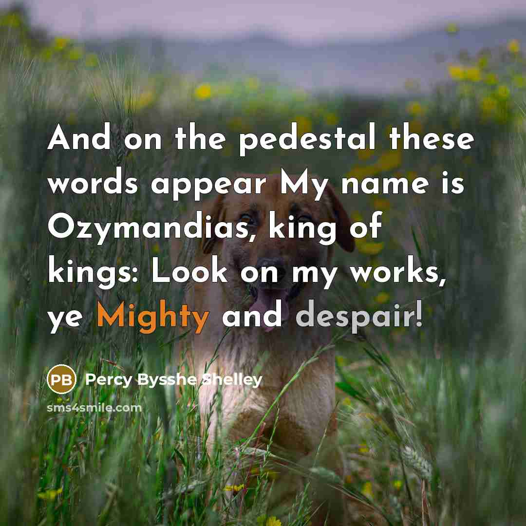 “And on the pedestal these words appear My name is…” quote by Percy Bysshe Shelley