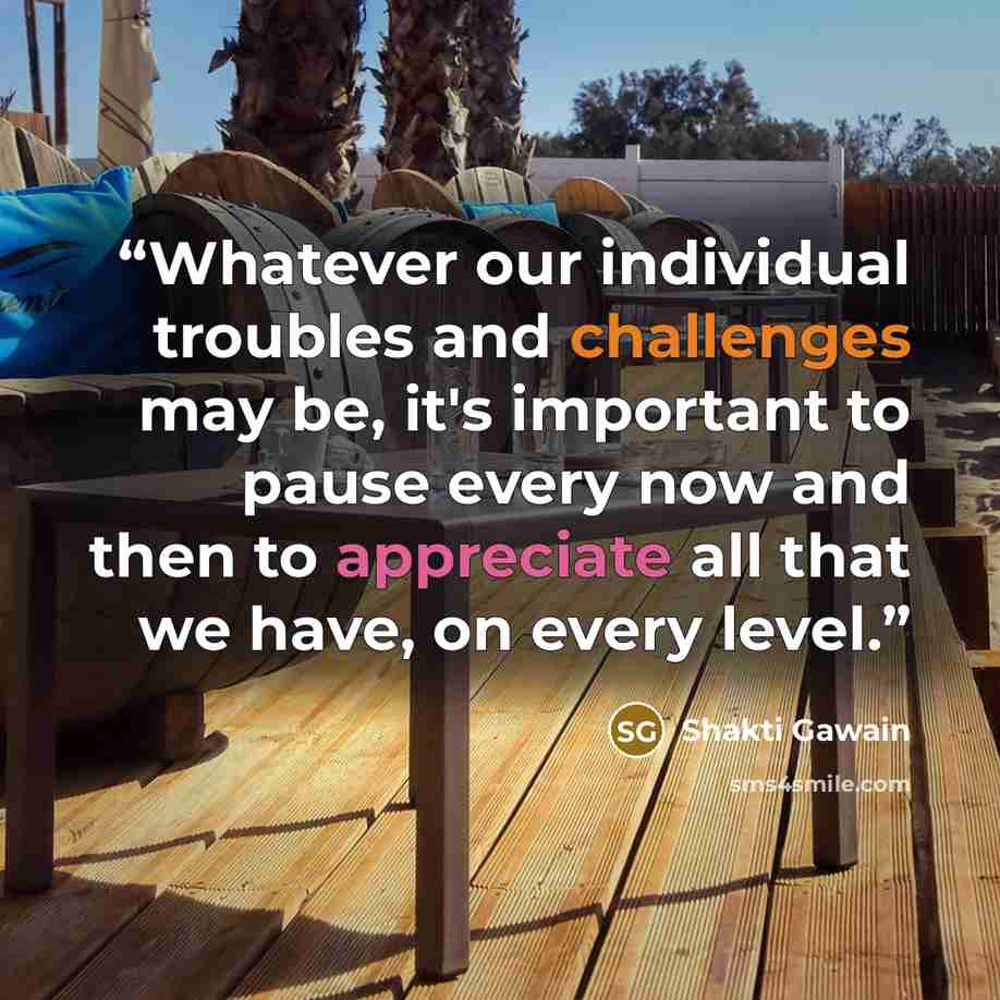 “Whatever our individual troubles and challenges may be, it's important to pause every now and then to appreciate all that we have, on every level.” quote by Shakti Gawain