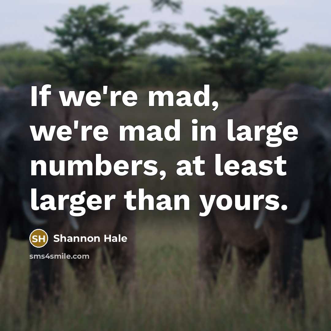 “If we're mad, we're mad in large numbers, at least…” quote by Shannon Hale