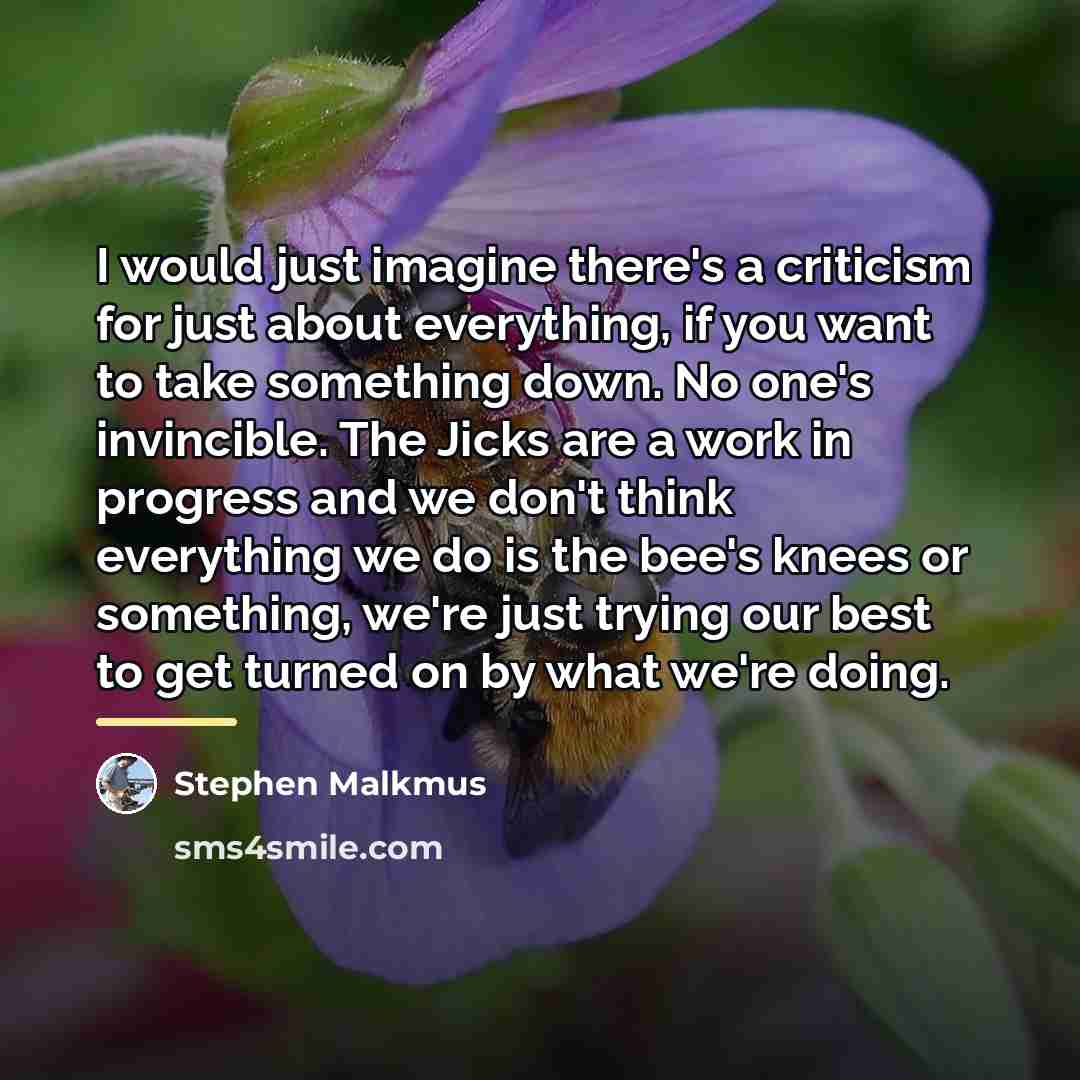 “I would just imagine there's a criticism for just about…” quote by Stephen Malkmus