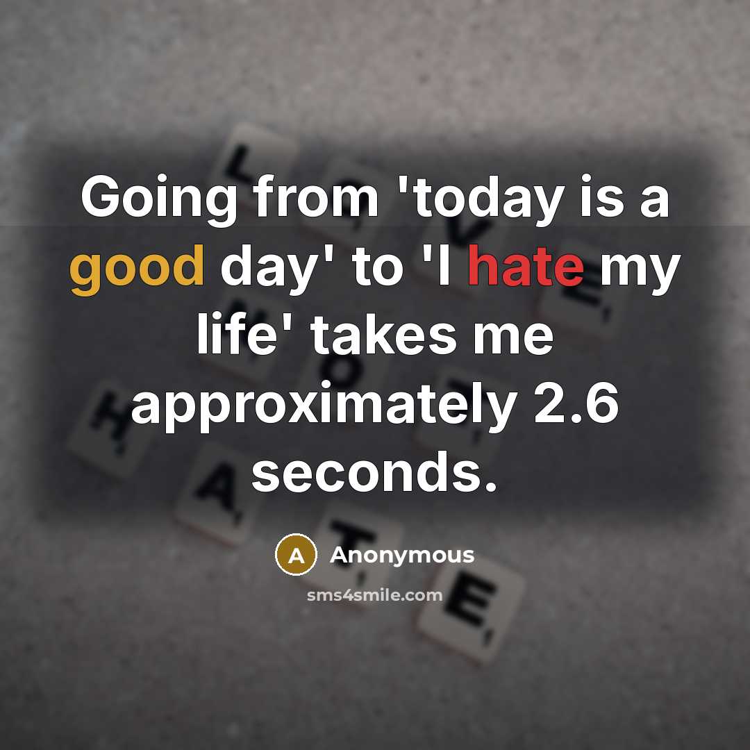 “Going from 'today is a good day' to 'I hate my life' takes me approximately 2.6 seconds.” quote by Anonymous