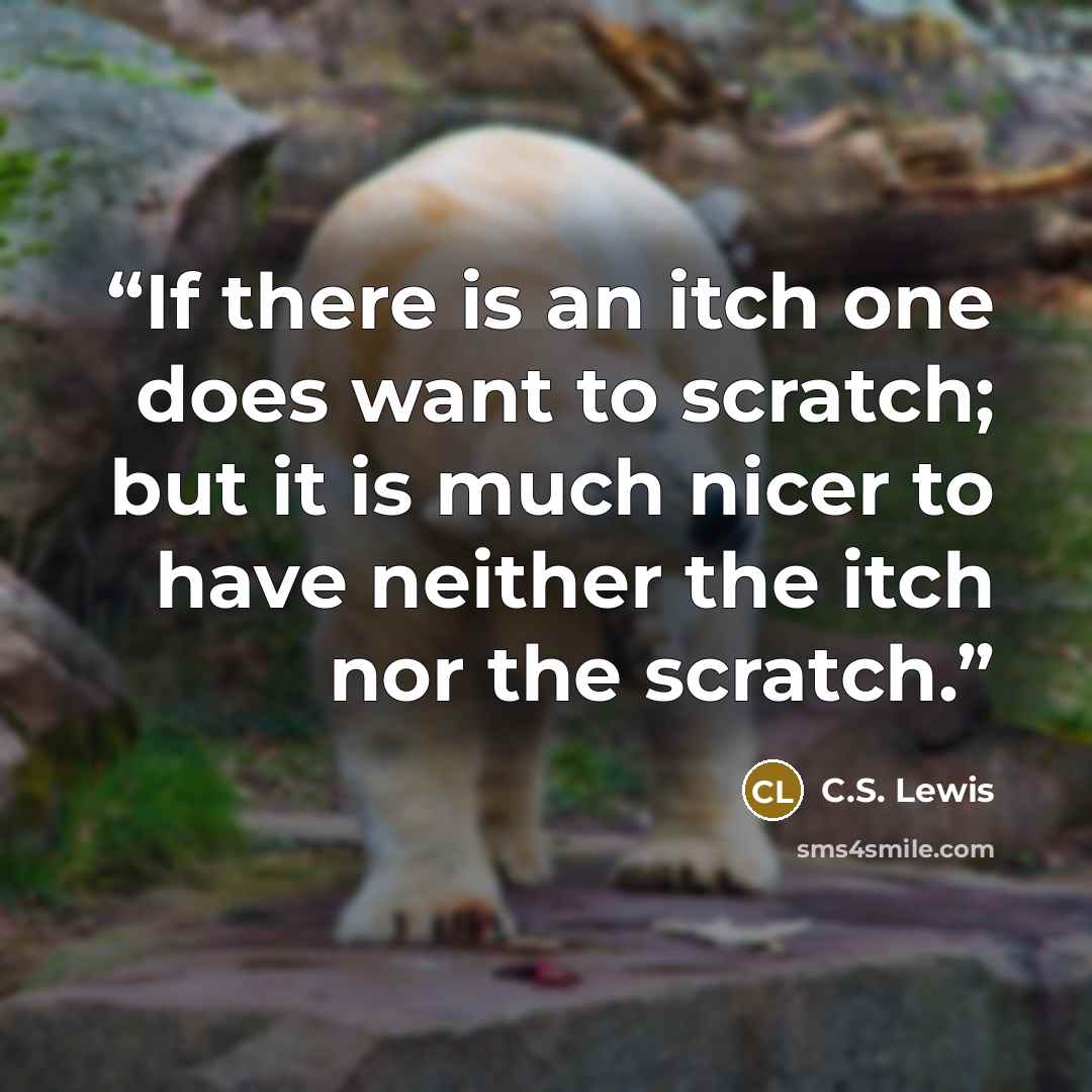 “If there is an itch one does want to scratch; but it is much nicer to have neither the itch nor the scratch.” quote by C.S. Lewis