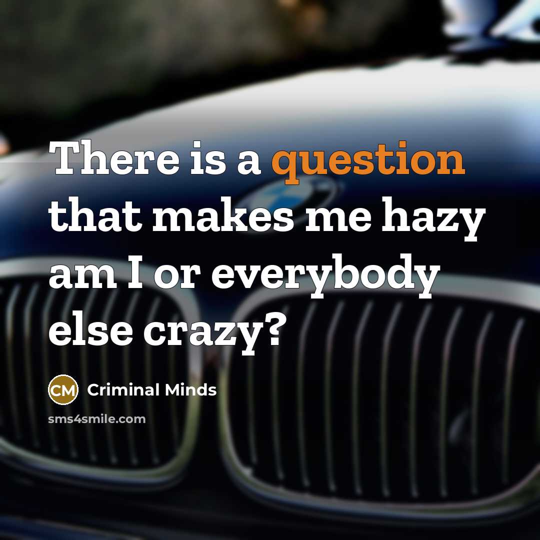 “There is a question that makes me hazy am I or everybody else crazy?” quote by Criminal Minds
