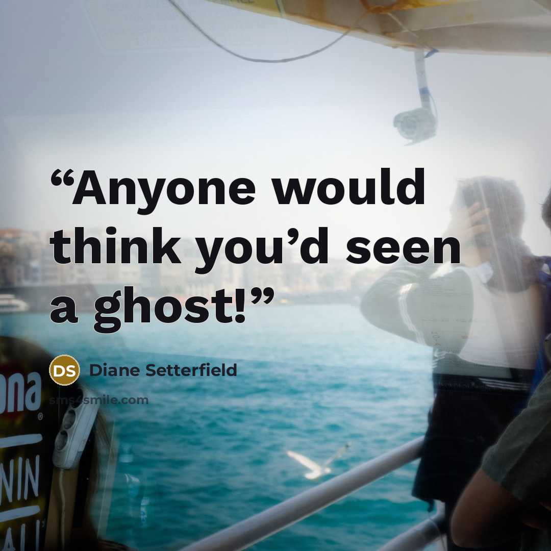 “Anyone would think you’d seen a ghost!” quote by Diane Setterfield