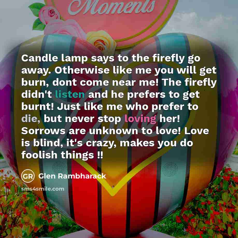 “Candle lamp says to the firefly go away. Otherwise like me you will get burn, dont come near me! The firefly didn't listen and he prefers to get burnt! Just like me who prefer to die, but never stop loving her! Sorrows are unknown to love! Love is blind, it's crazy, makes you do foolish things !!” quote by Glen Rambharack