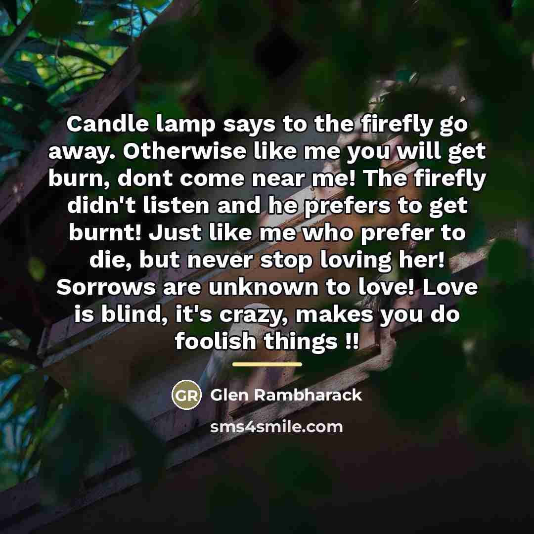 “Candle lamp says to the firefly go away. Otherwise like…” quote by Glen Rambharack