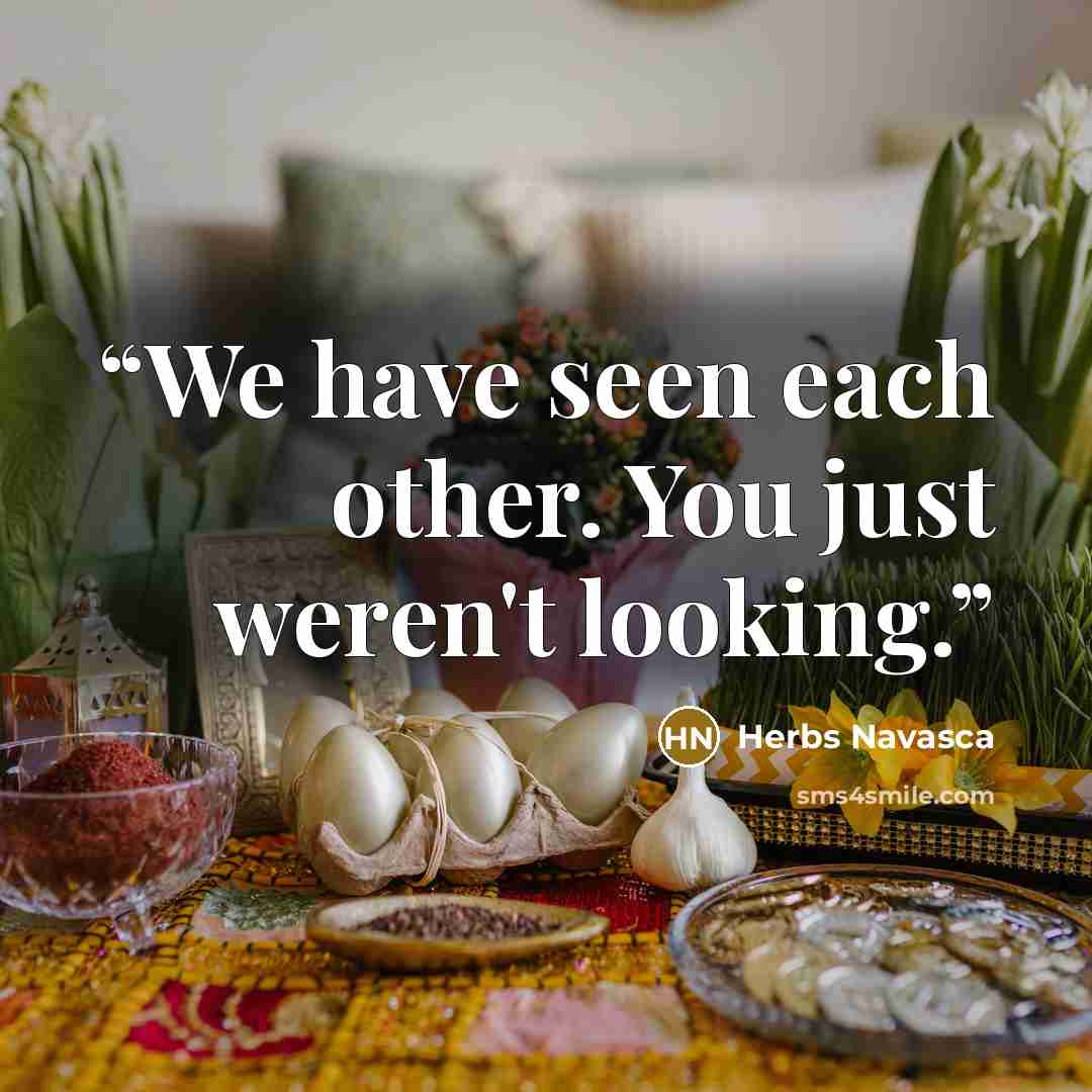 “We have seen each other. You just weren't looking.” quote by Herbs Navasca