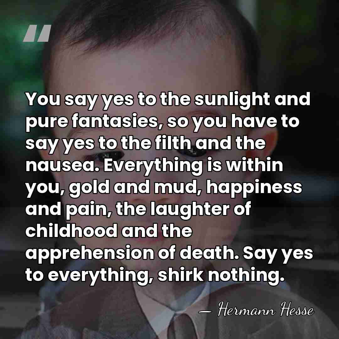 You say yes to the sunlight and pure fantasies, so you have&hellip; - Hermann Hesse