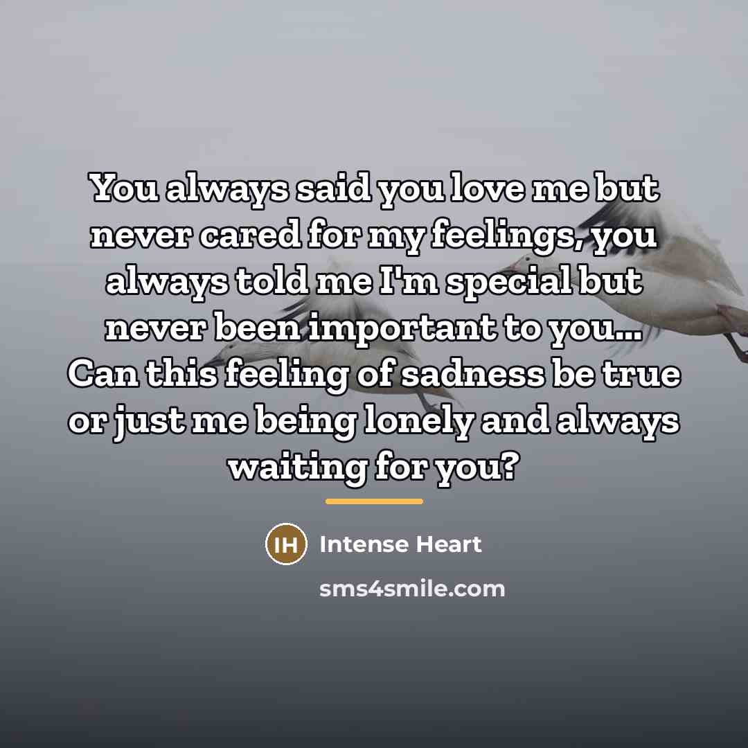 “You always said you love me but never cared for…” quote by Intense Heart
