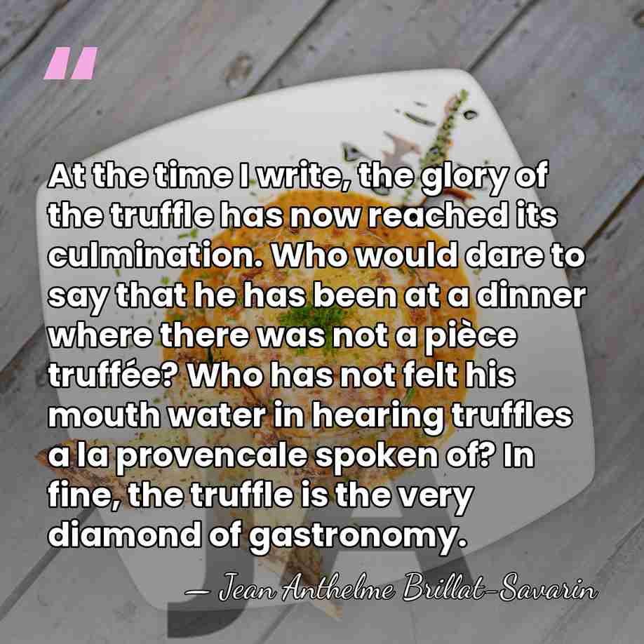 At the time I write, the glory of the truffle has now&hellip; - Jean Anthelme Brillat-Savarin