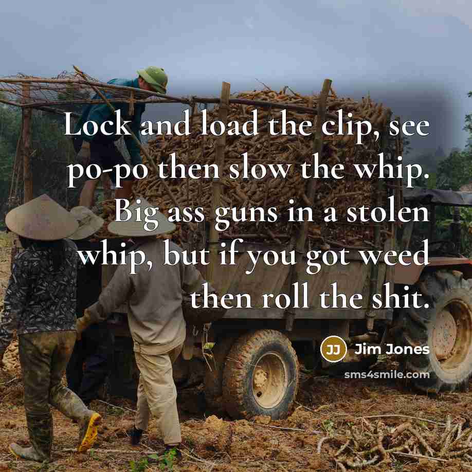 “Lock and load the clip, see po-po then slow the whip. Big ass guns in a stolen whip, but if you got weed then roll the shit.” quote by Jim Jones