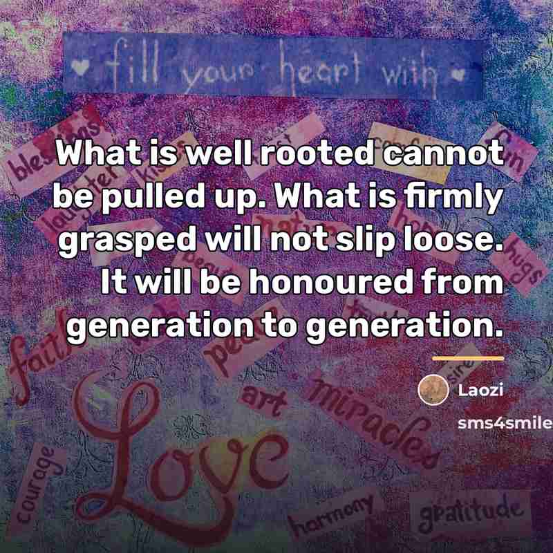 “What is well rooted cannot be pulled up. What is…” quote by Laozi