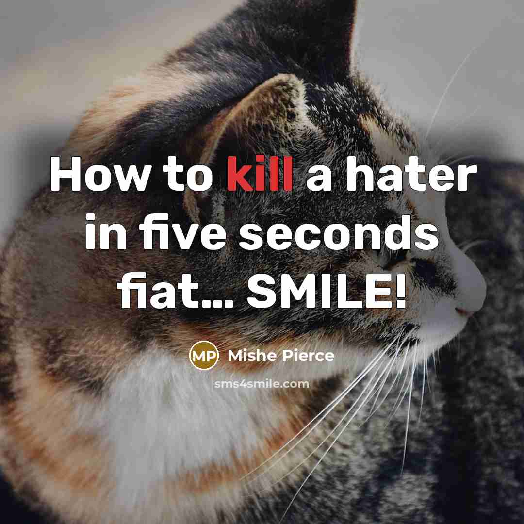 “How to kill a hater in five seconds fiat.... SMILE!…” quote by Mishe Pierce