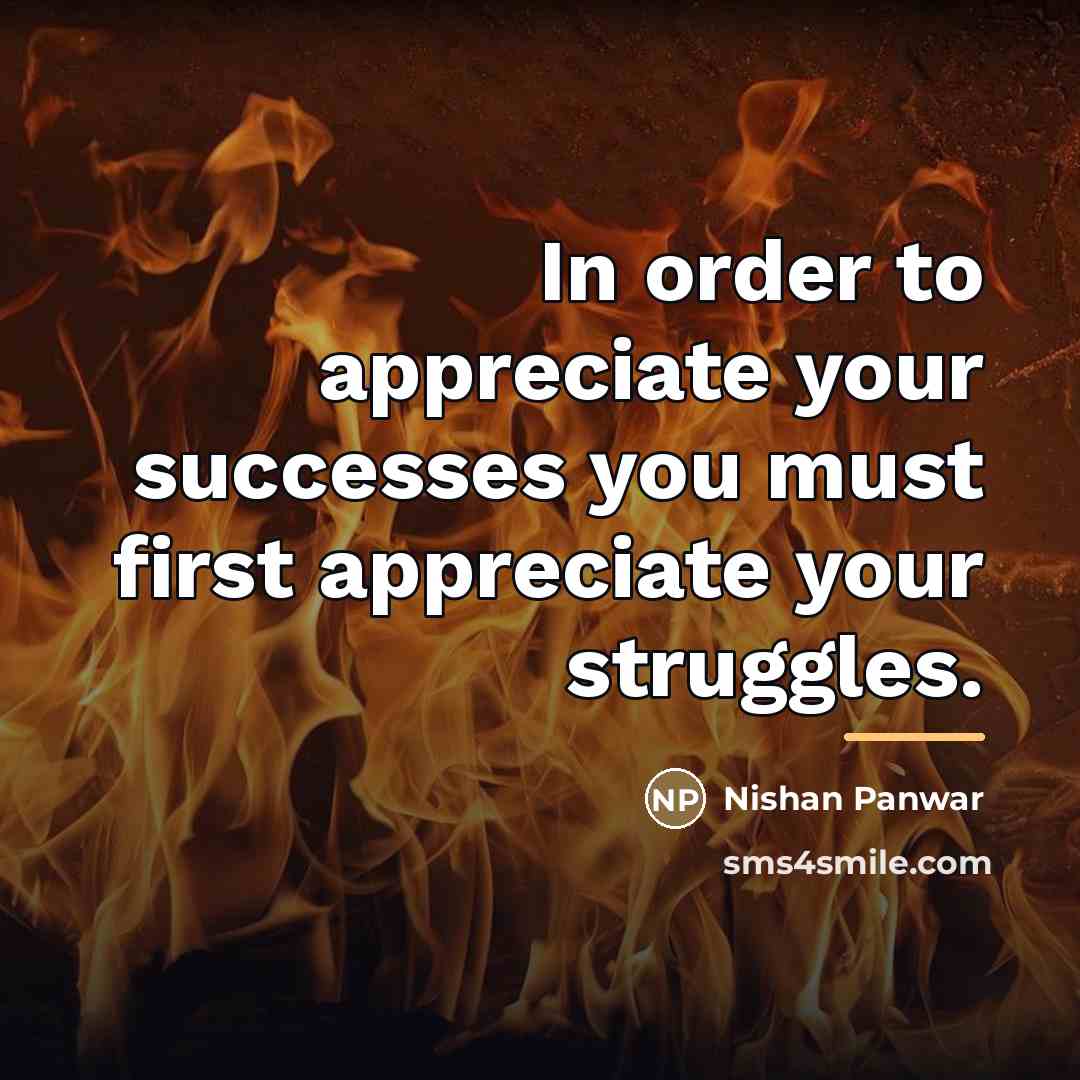“In order to appreciate your successes you must first appreciate…” quote by Nishan Panwar