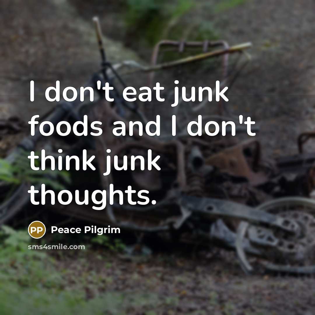 “I don't eat junk foods and I don't think junk…” quote by Peace Pilgrim