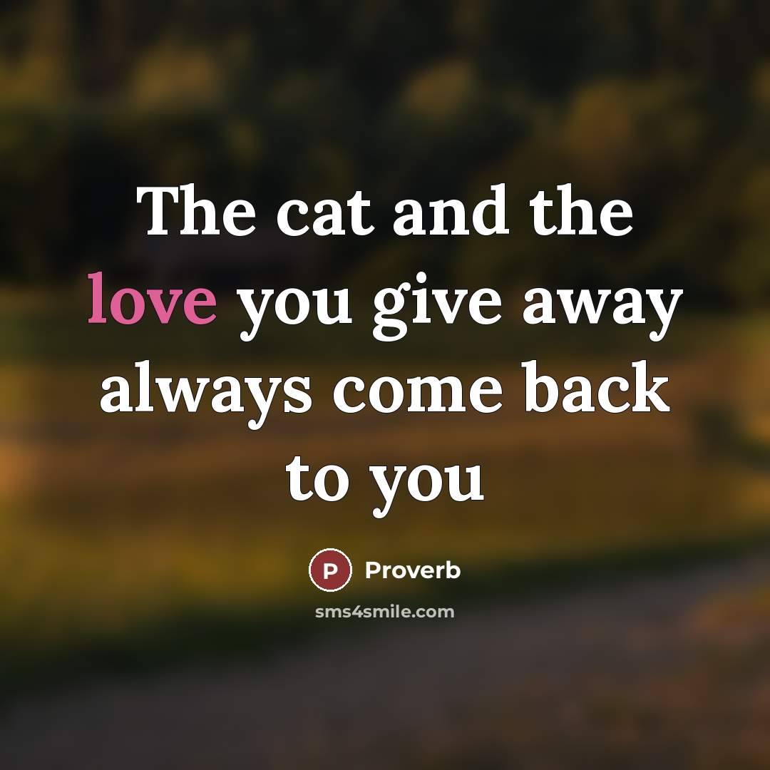 “The cat and the love you give away always come…” quote by Proverb