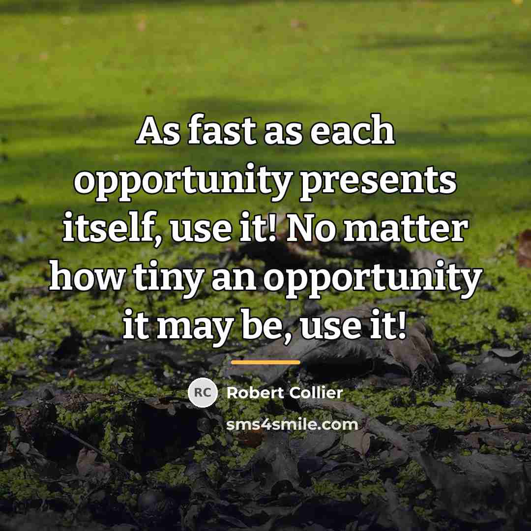 “As fast as each opportunity presents itself, use it! No…” quote by Robert Collier
