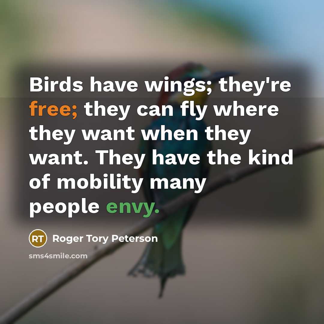 “Birds have wings; they're free; they can fly where they…” quote by Roger Tory Peterson
