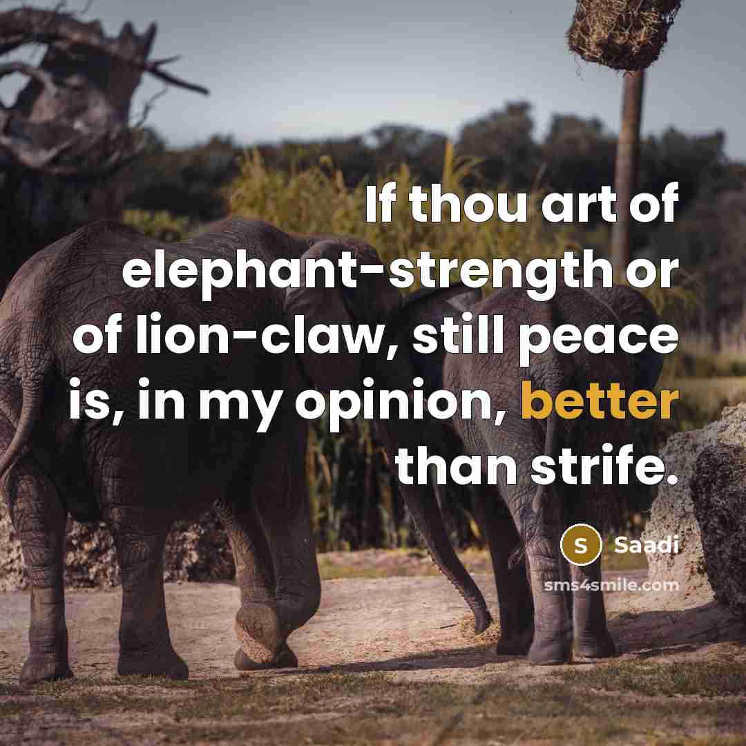 “If thou art of elephant-strength or of lion-claw, still peace…” quote by Saadi
