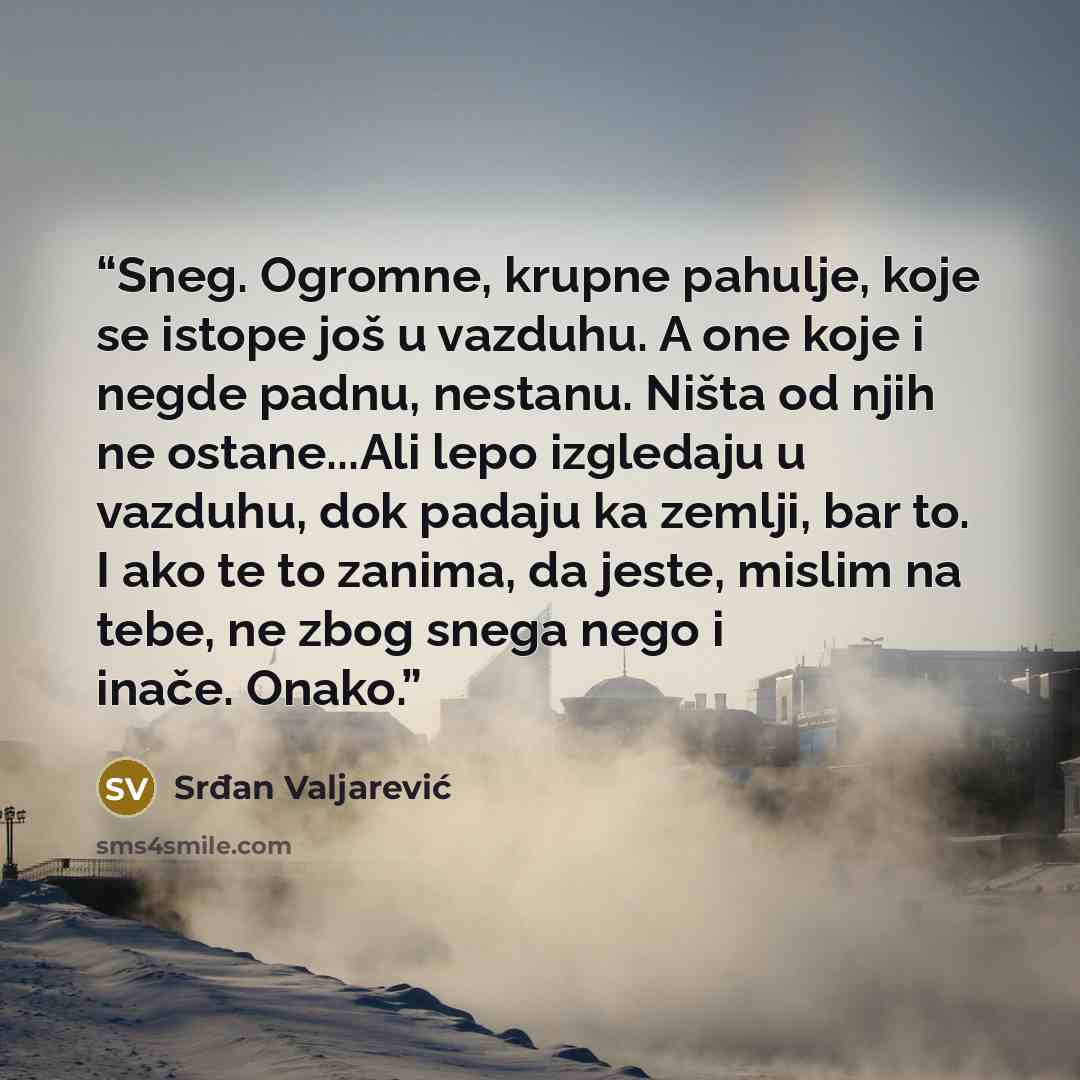 “Sneg. Ogromne, krupne pahulje, koje se istope još u vazduhu. A one koje i negde padnu, nestanu. Ništa od njih ne ostane...Ali lepo izgledaju u vazduhu, dok padaju ka zemlji, bar to. I ako te to zanima, da jeste, mislim na tebe, ne zbog snega nego i inače. Onako.” quote by Srđan Valjarević