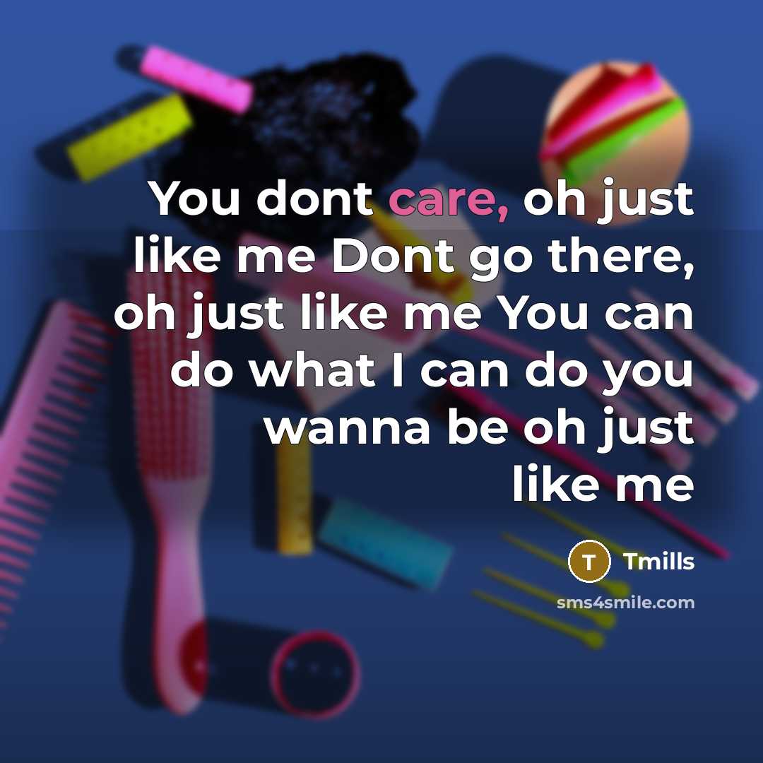 “You dont care, oh just like me Dont go there, oh just like me You can do what I can do you wanna be oh just like me” quote by Tmills