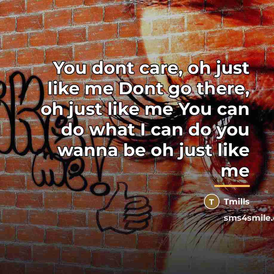 “You dont care, oh just like me Dont go there,…” quote by Tmills