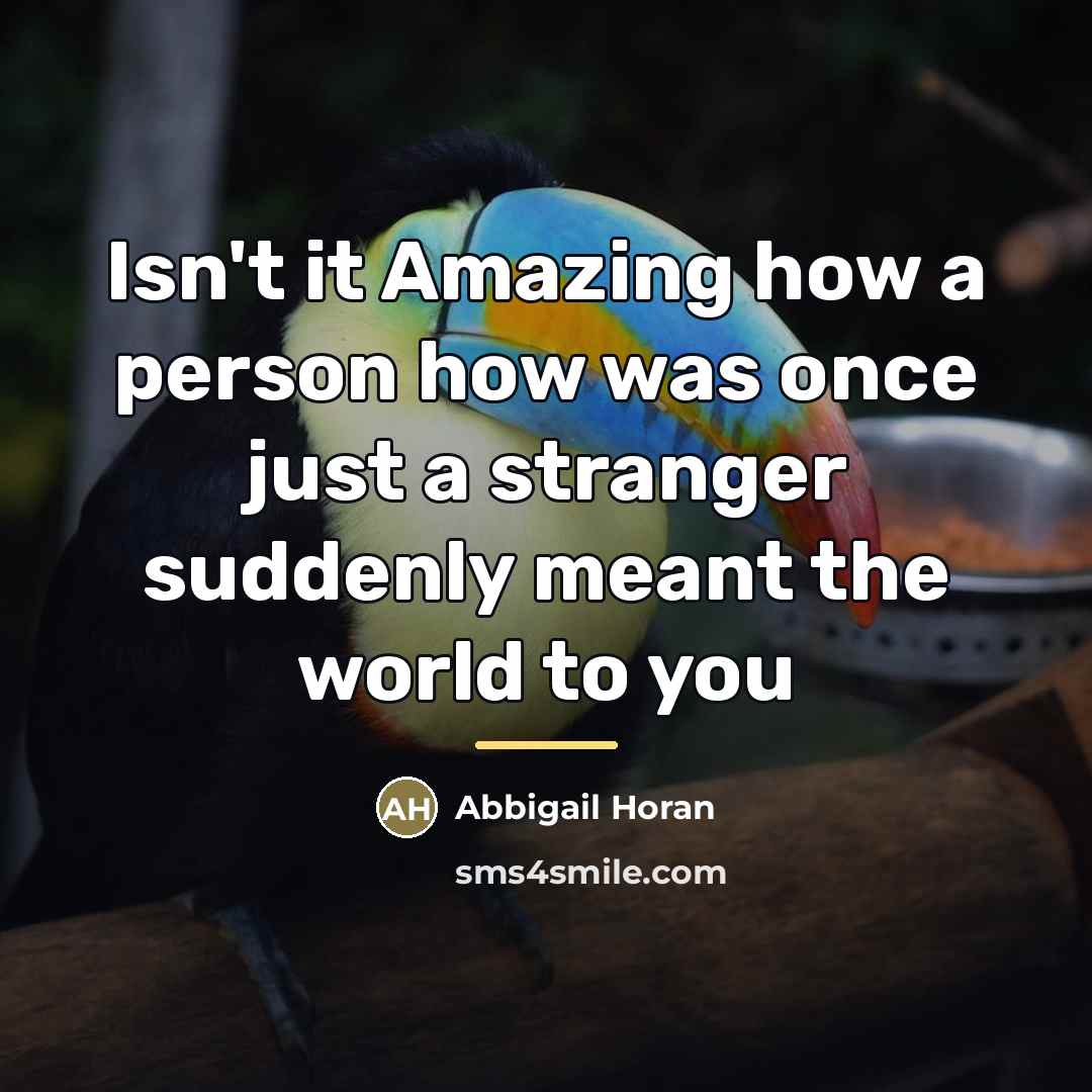 “Isn't it Amazing how a person how was once just…” quote by Abbigail Horan