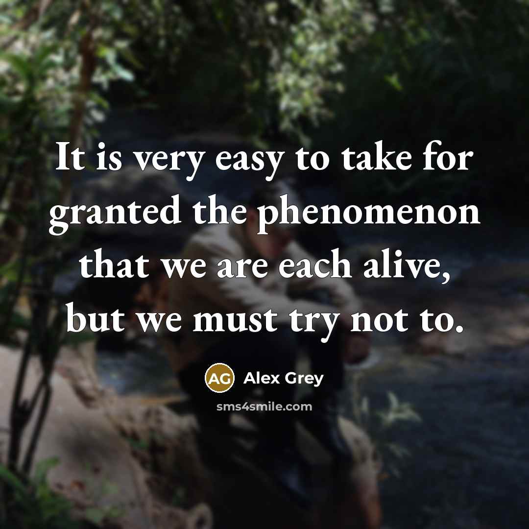 “It is very easy to take for granted the phenomenon…” quote by Alex Grey