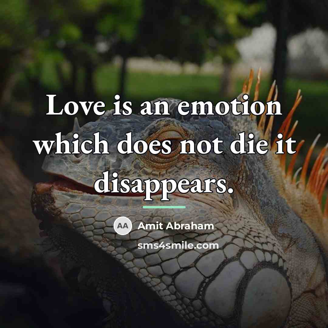 “Love is an emotion which does not die it disappears.…” quote by Amit Abraham