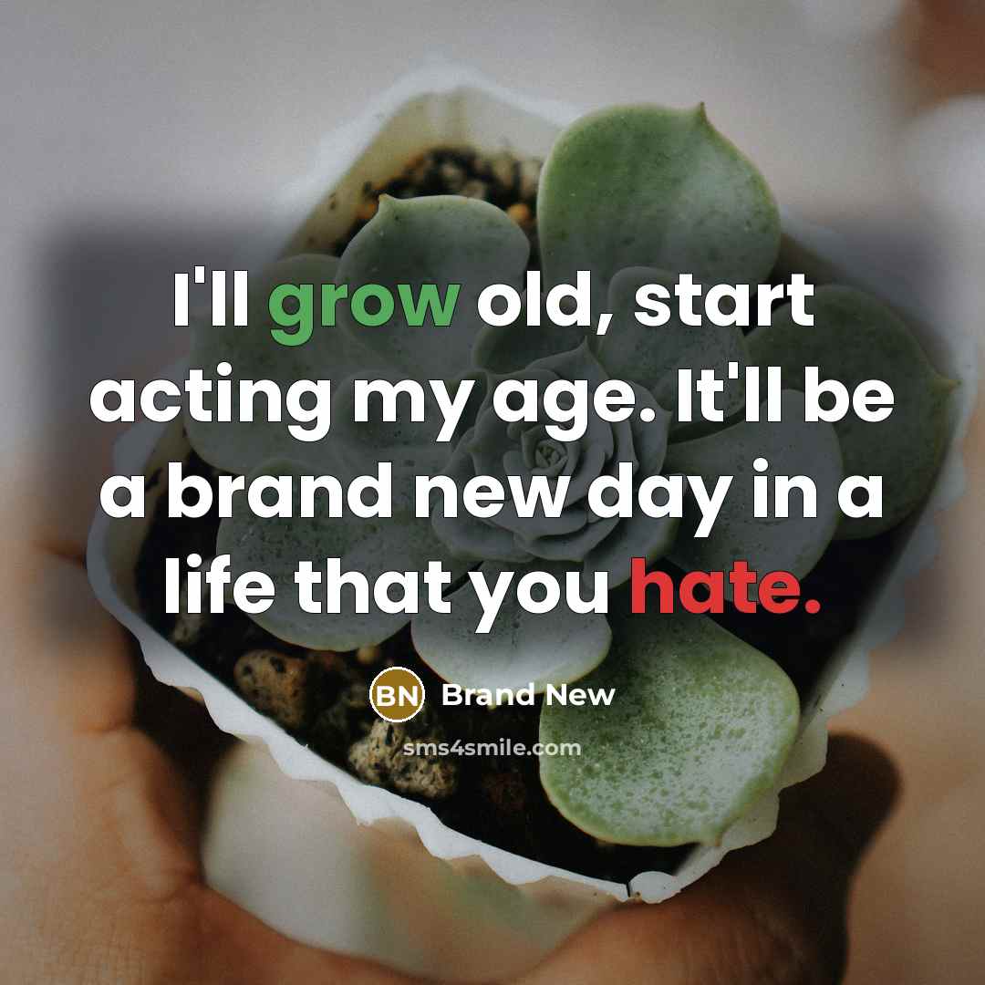 “I'll grow old, start acting my age. It'll be a brand new day in a life that you hate.” quote by Brand New