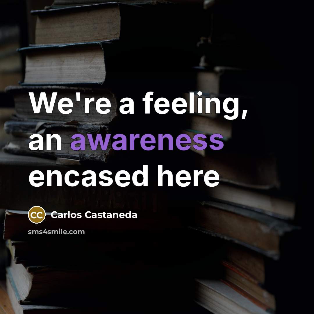 “We're a feeling, an awareness encased here…” quote by Carlos Castaneda