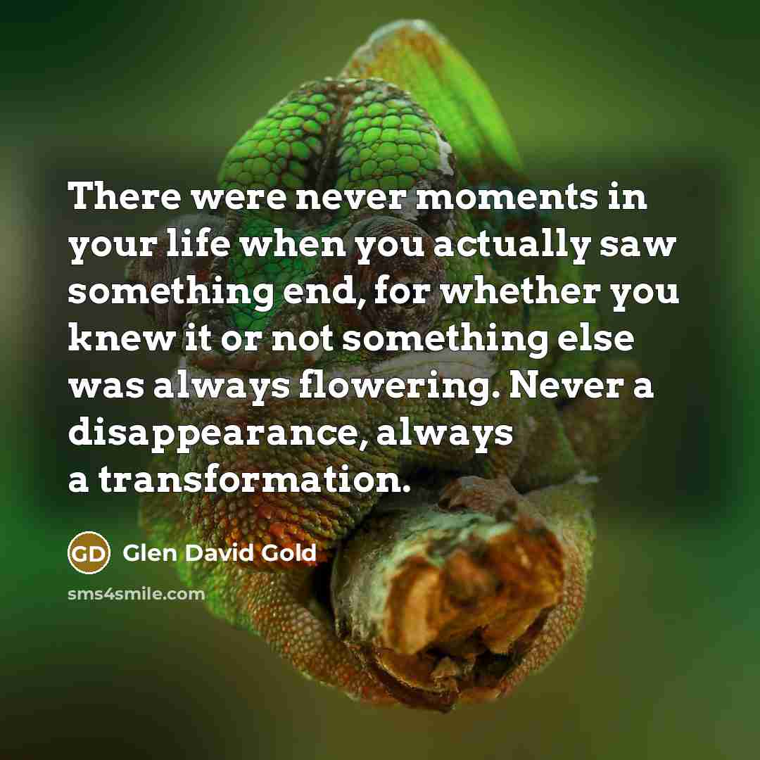 “There were never moments in your life when you actually…” quote by Glen David Gold