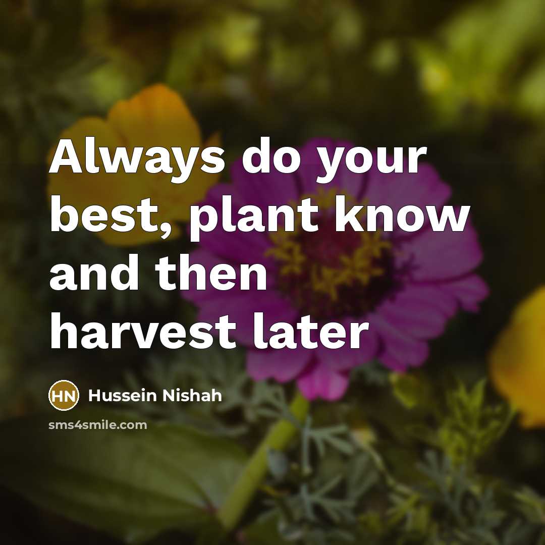 “Always do your best, plant know and then harvest later…” quote by Hussein Nishah