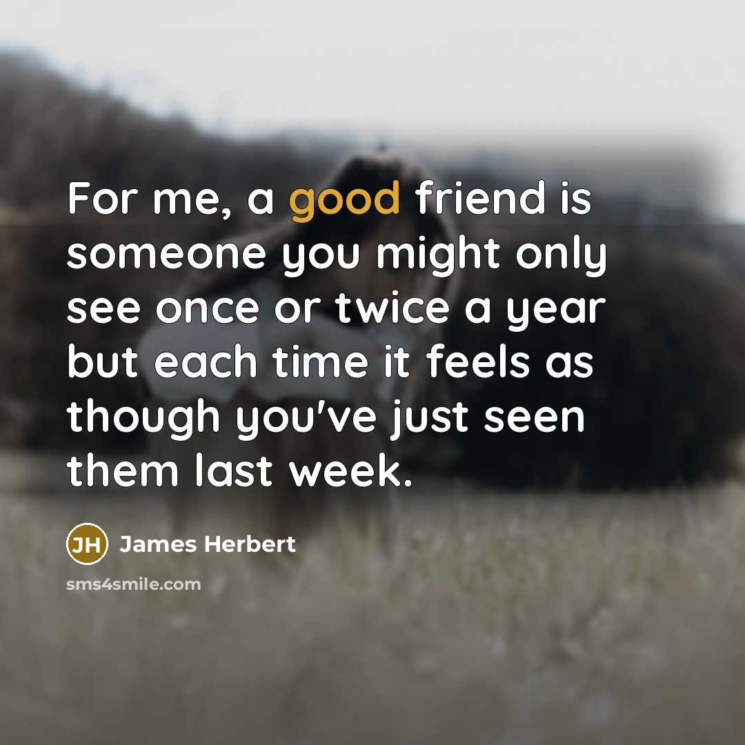 “For me, a good friend is someone you might only…” quote by James Herbert