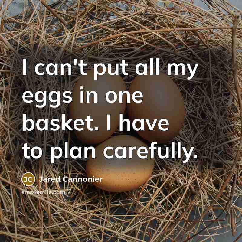 “I can't put all my eggs in one basket. I…” quote by Jared Cannonier