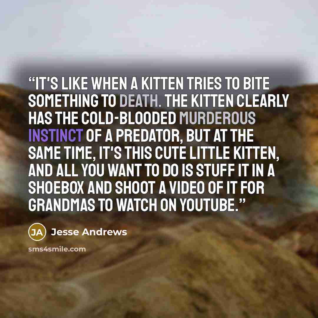 “It's like when a kitten tries to bite something to death. The kitten clearly has the cold-blooded murderous instinct of a predator, but at the same time, it's this cute little kitten, and all you want to do is stuff it in a shoebox and shoot a video of it for grandmas to watch on YouTube.” quote by Jesse Andrews