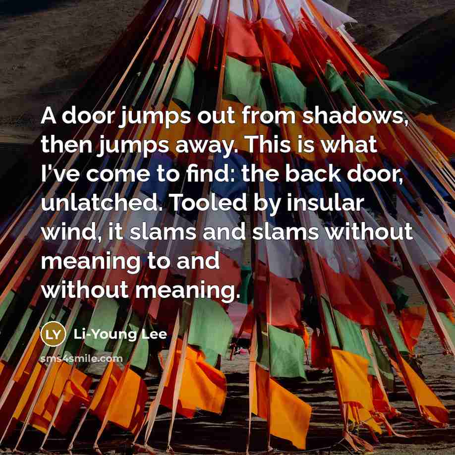 “A door jumps out from shadows, then jumps away. This…” quote by Li-Young Lee