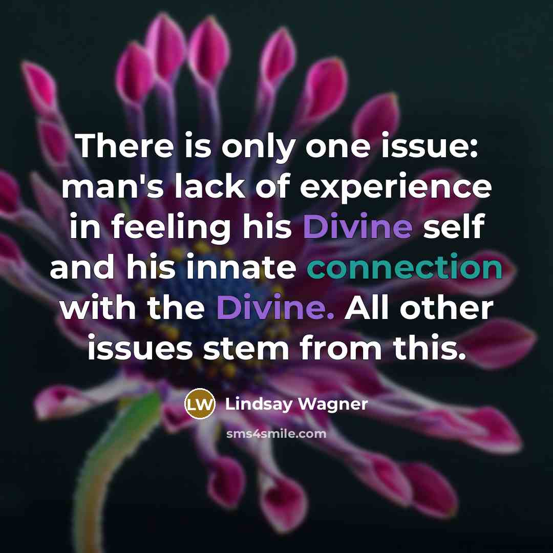 “There is only one issue: man's lack of experience in…” quote by Lindsay Wagner