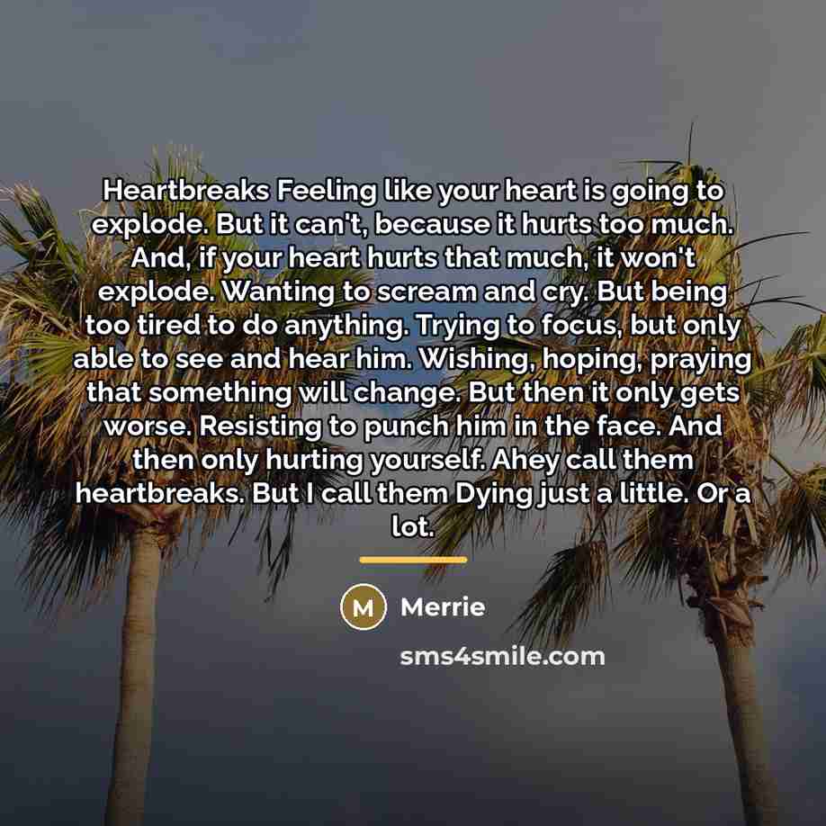 “Heartbreaks Feeling like your heart is going to explode. But…” quote by Merrie