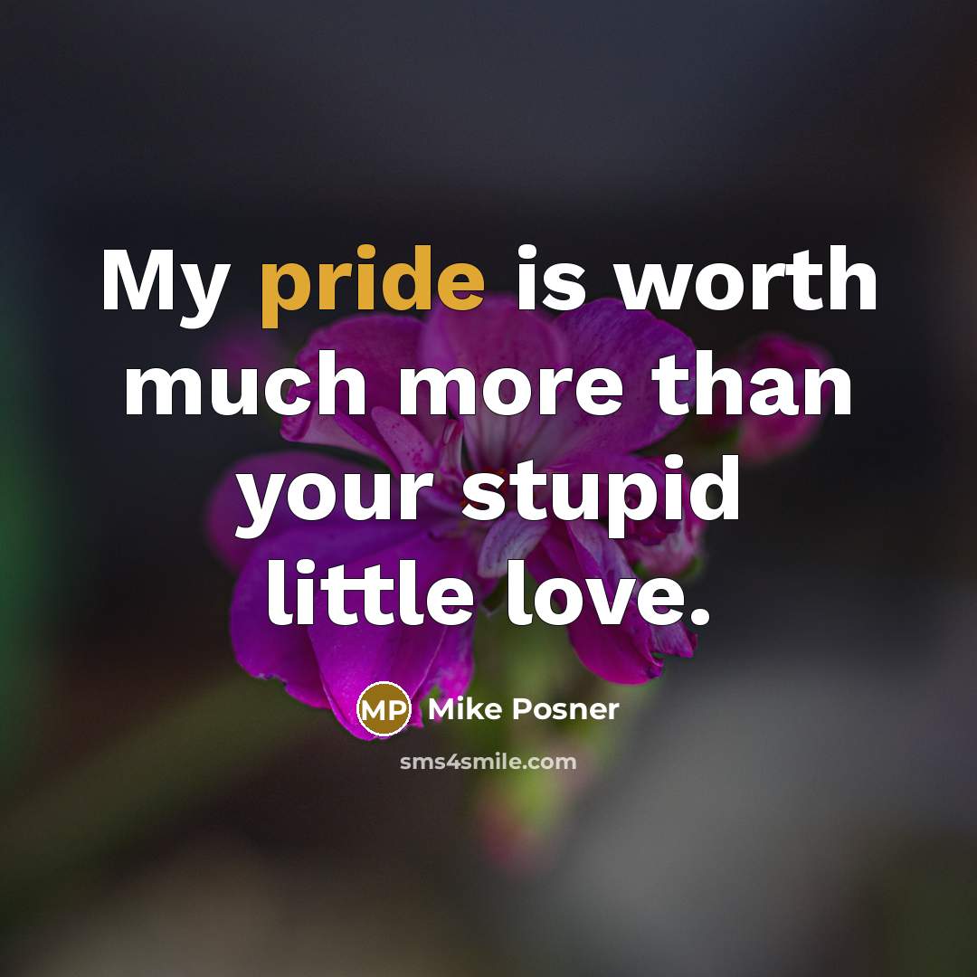 “My pride is worth much more than your stupid little…” quote by Mike Posner