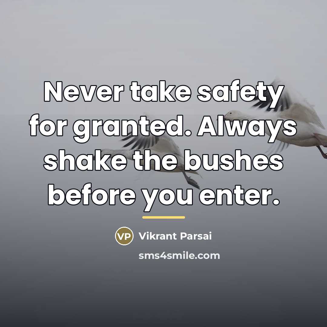 “Never take safety for granted. Always shake the bushes before…” quote by Vikrant Parsai