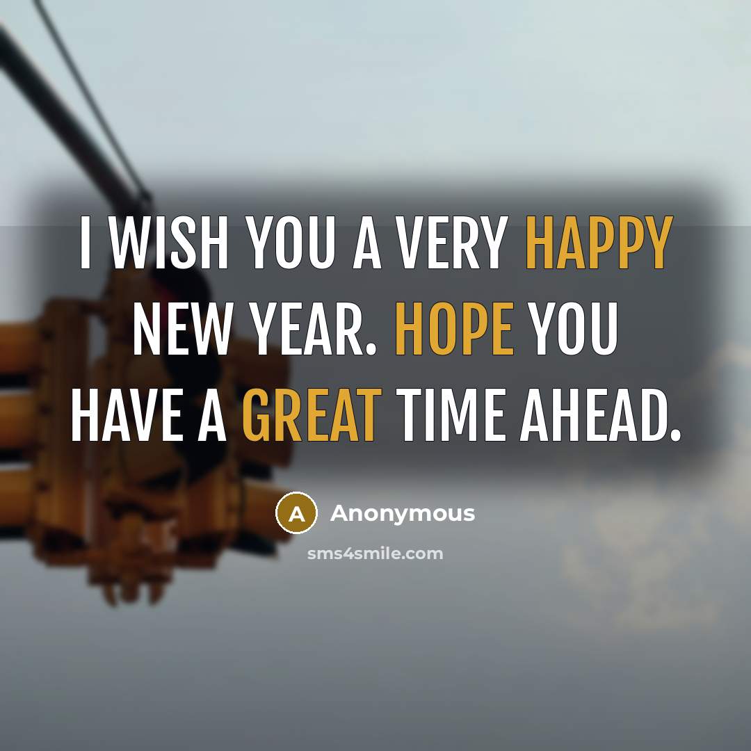 “I wish you a very Happy New Year. Hope you have a great time ahead.” quote by Anonymous