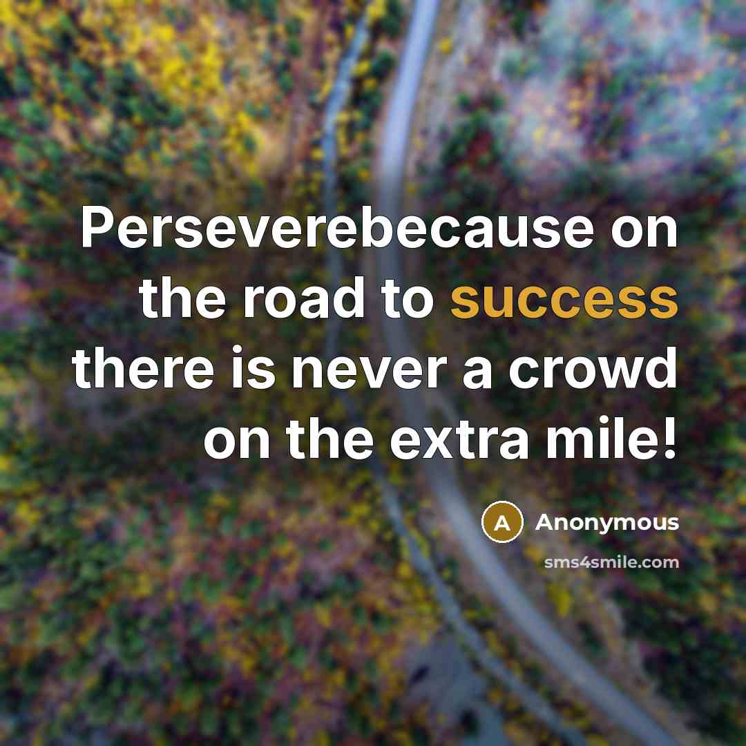 “Perseverebecause on the road to success there is never a…” quote by Anonymous