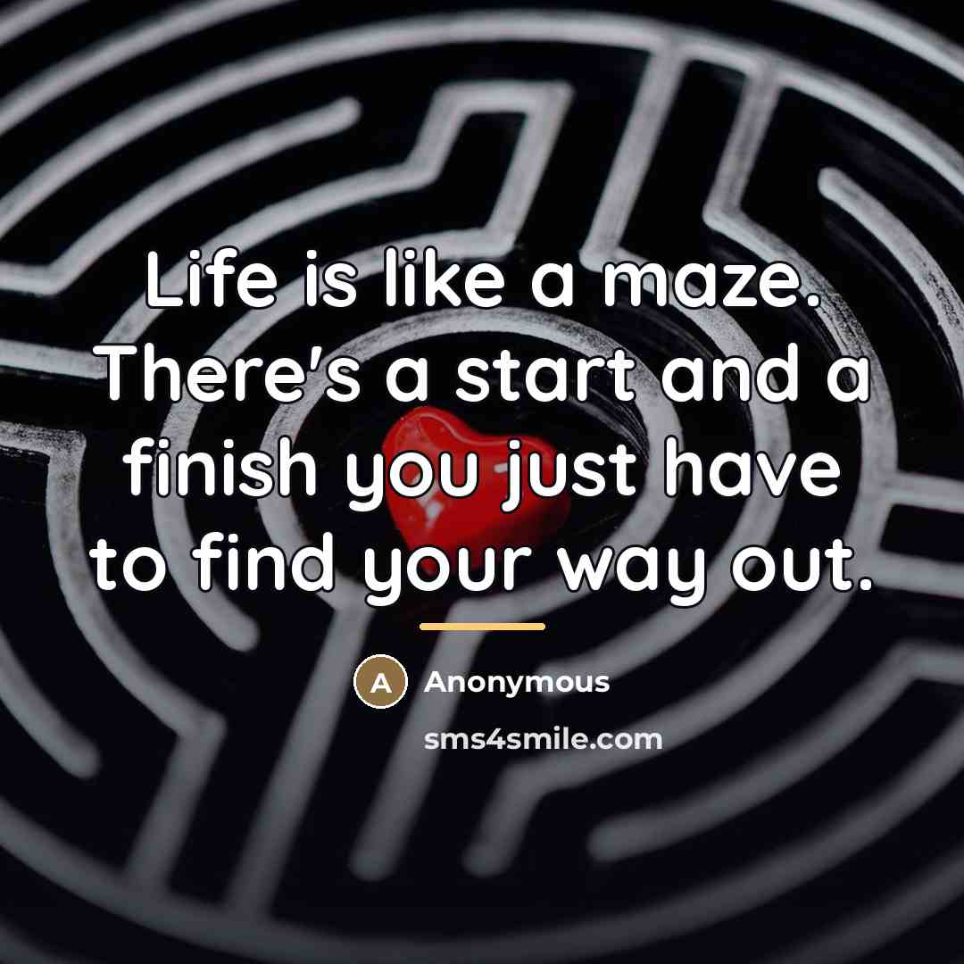 “Life is like a maze. There's a start and a…” quote by Anonymous
