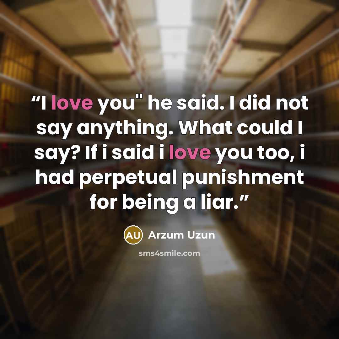 “I love you" he said. I did not say anything. What could I say? If i said i love you too, i had perpetual punishment for being a liar.” quote by Arzum Uzun