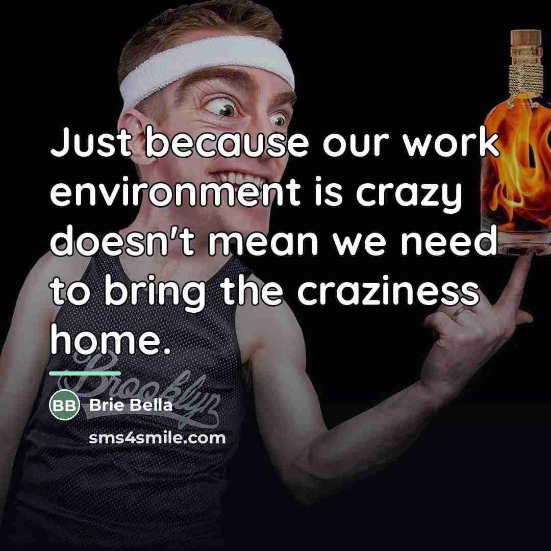 “Just because our work environment is crazy doesn't mean we…” quote by Brie Bella