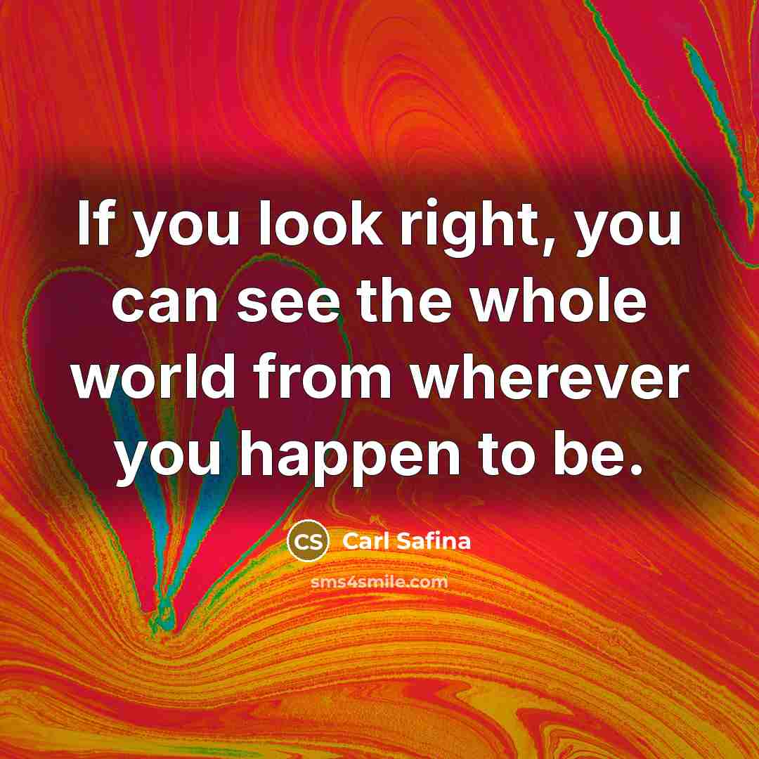 “If you look right, you can see the whole world…” quote by Carl Safina