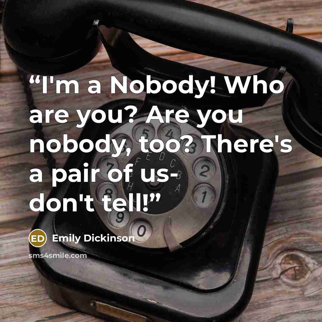 “I'm a Nobody! Who are you? Are you nobody, too? There's a pair of us- don't tell!” quote by Emily Dickinson