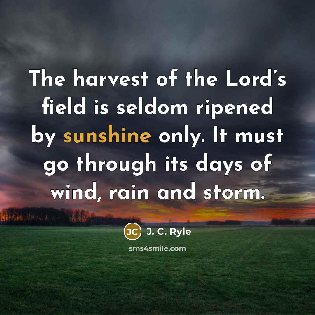 “The harvest of the Lord’s field is seldom ripened by…” quote by J. C. Ryle