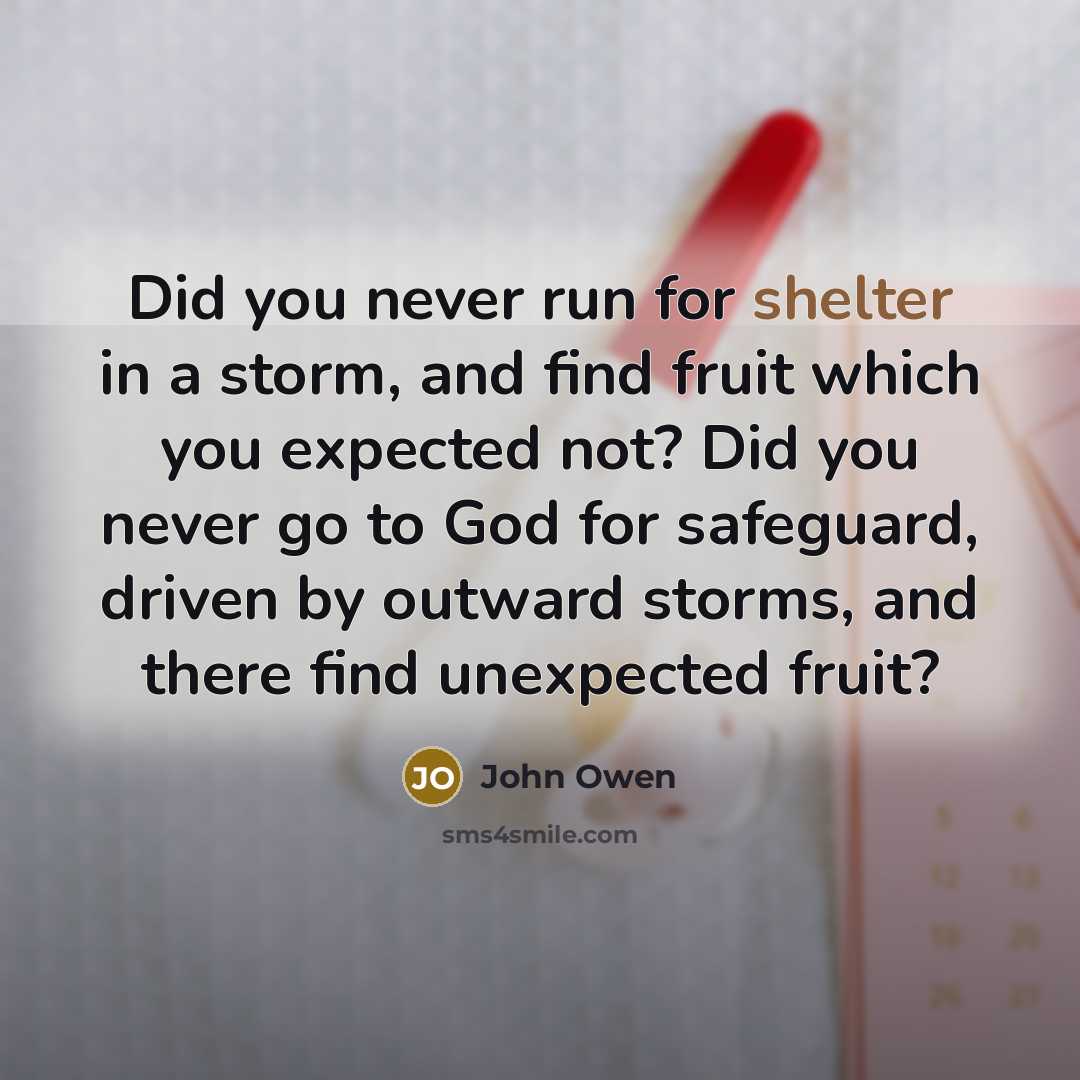 “Did you never run for shelter in a storm, and…” quote by John Owen